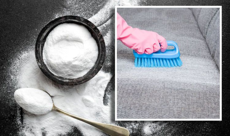 Thao tác rắc đều bột baking soda lên bề mặt ghế sofa nỉ để hút mùi hôi và độ ẩm